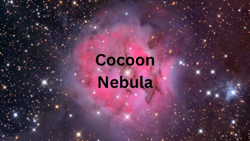 Cocoon Nebula’s Hidden Stars: A Dazzling Tapestry of Birth and Creation