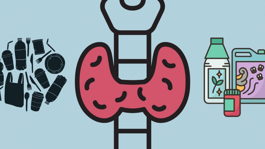 A Silent Threat: Endocrine Disrupting Chemicals in Everyday Products