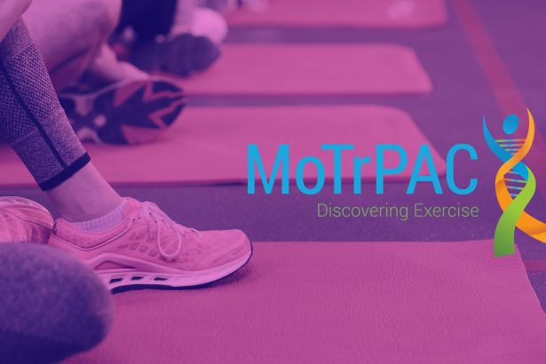 MoTrPAC: Big Benefits of Exercise on Cellular Levels