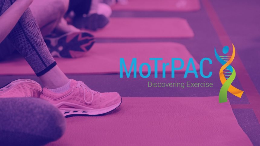 MoTrPAC: Big Benefits of Exercise on Cellular Levels