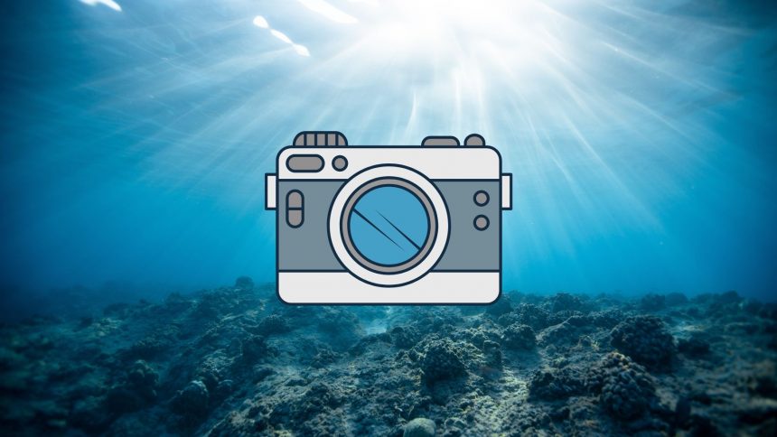 Underwater Photography, the Enchanting World Beneath