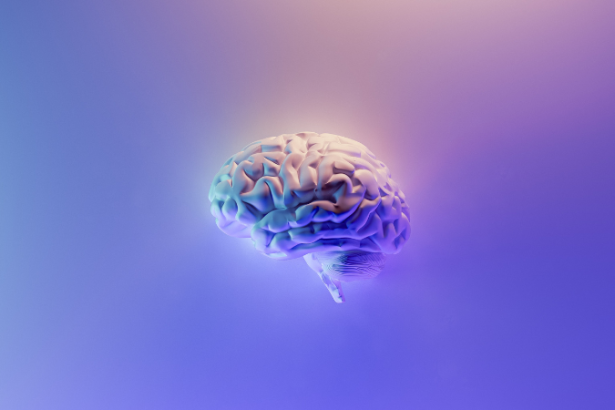 Sleeping Pills and Brain Health: What You Need to Know About Waste Clearance